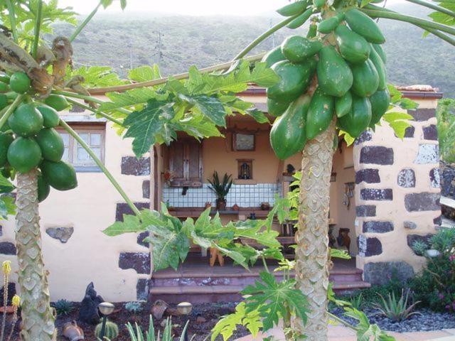 בית הארחה פרונטרה 	Casa De Mi Abuela Maria מראה חיצוני תמונה